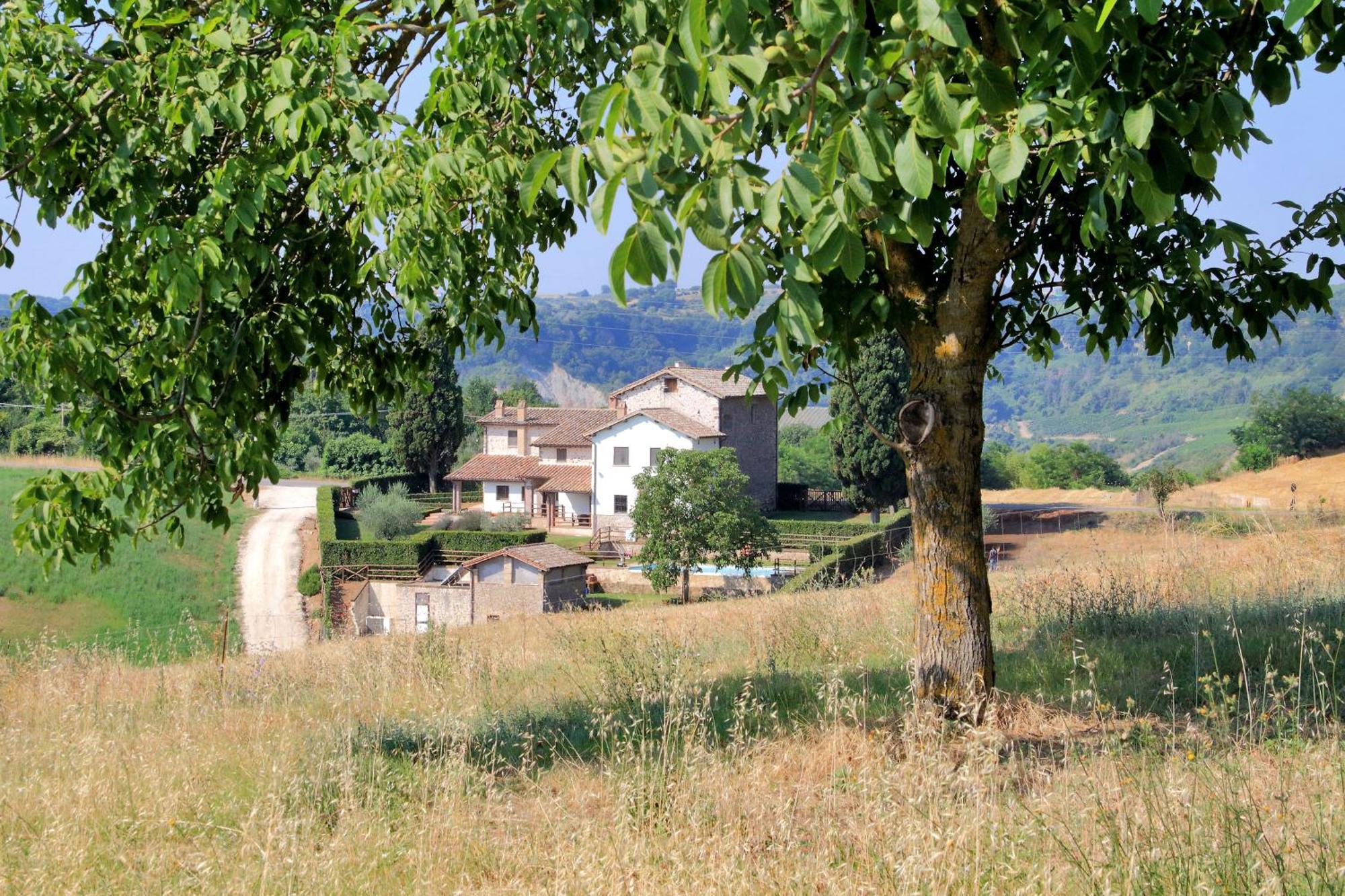 Orvieto Country House Castiglione In Teverina Kültér fotó
