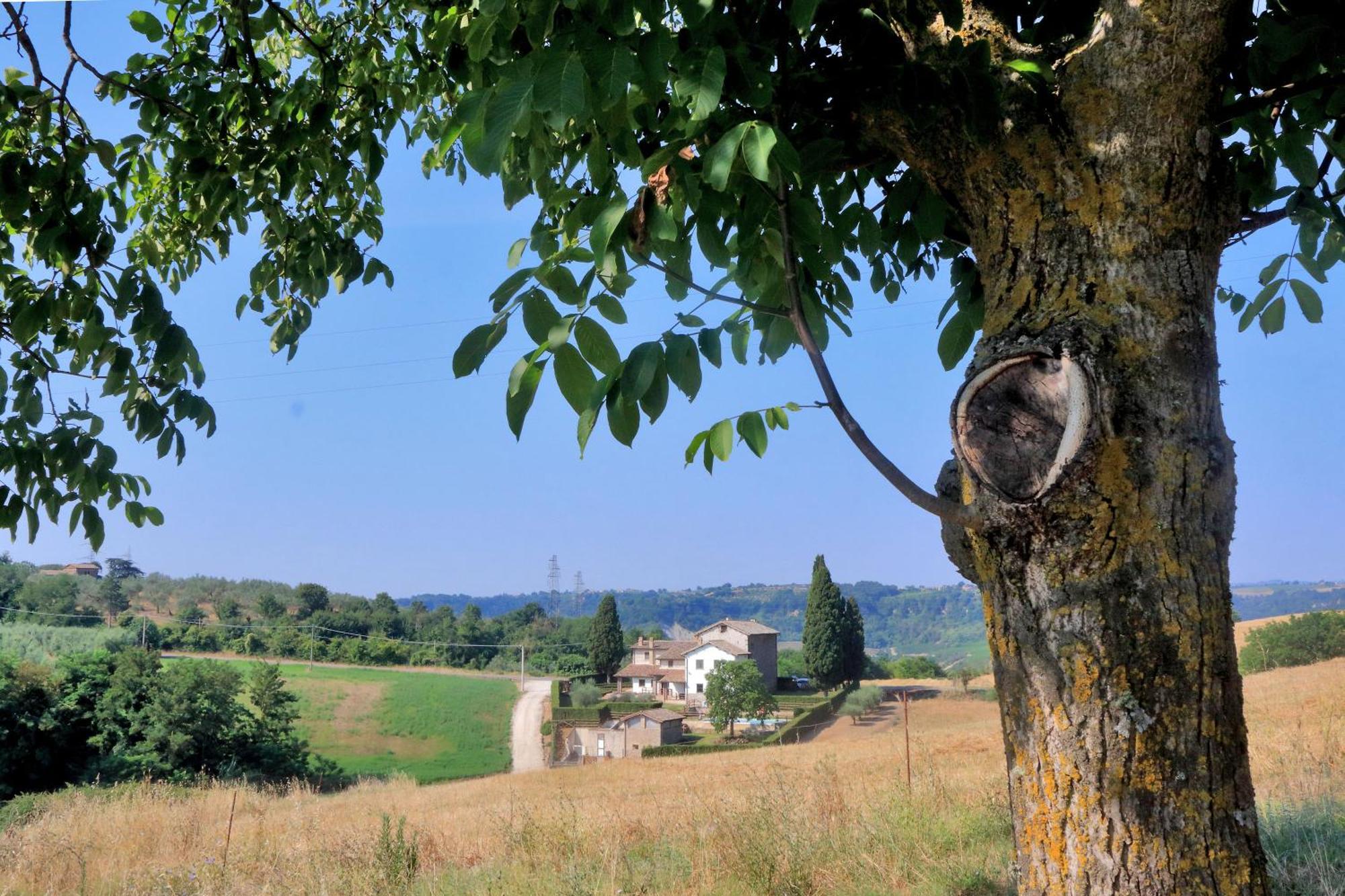Orvieto Country House Castiglione In Teverina Kültér fotó