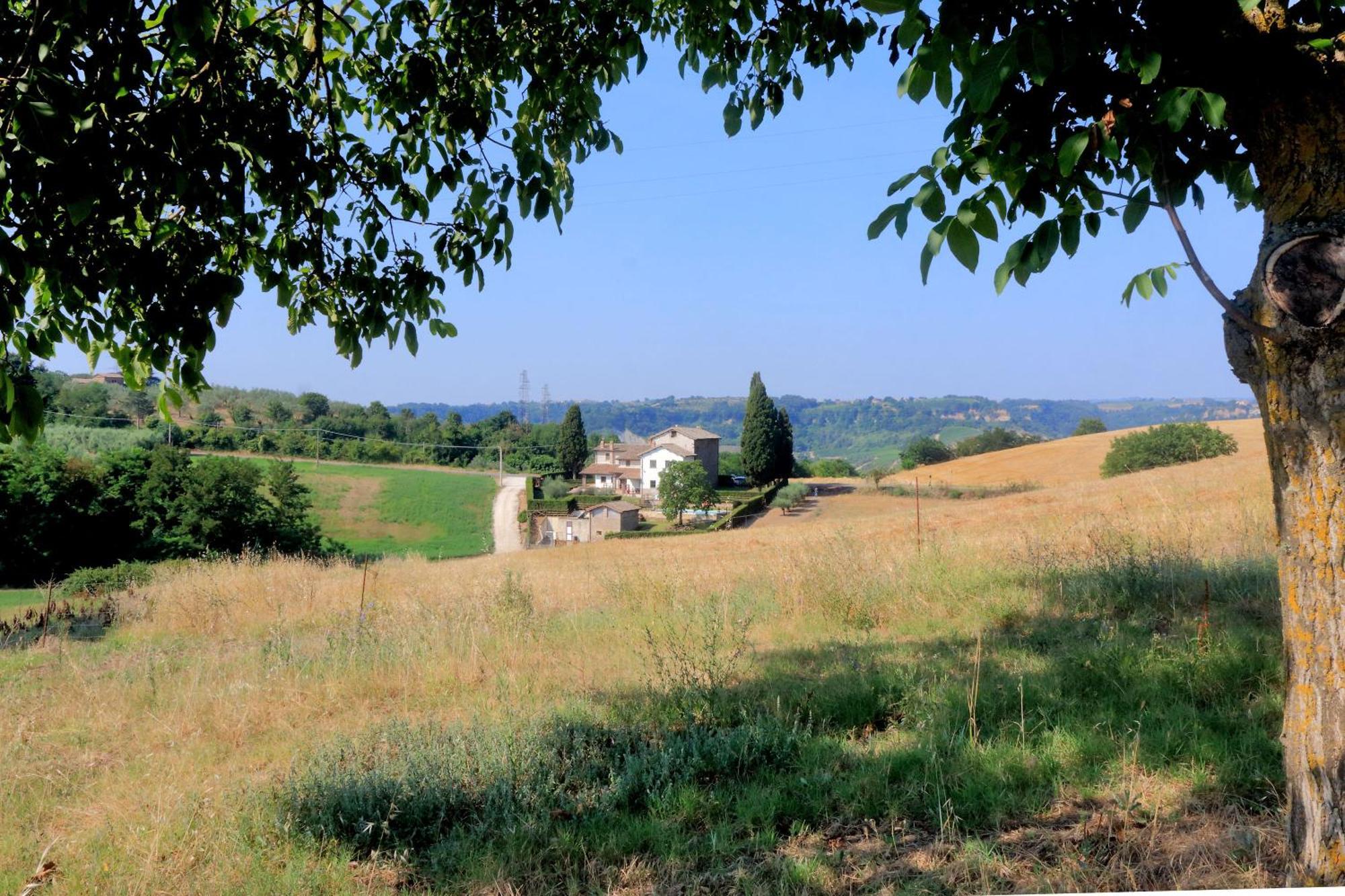 Orvieto Country House Castiglione In Teverina Kültér fotó